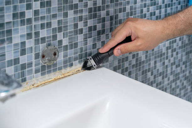 Best Mold Remediation for Schools in Hutto, TX
