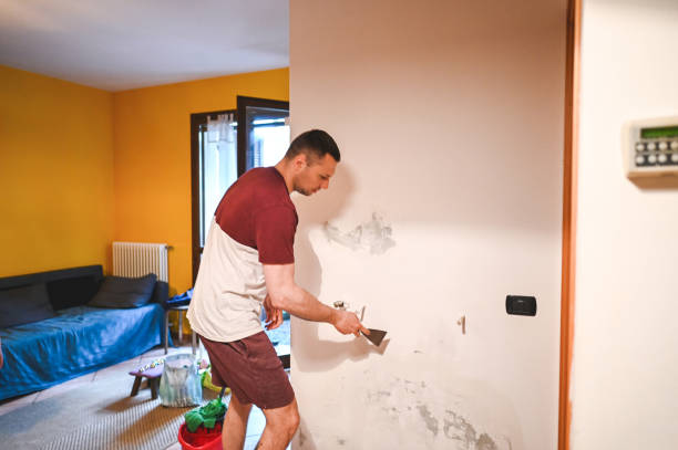 Best Mold Testing and Inspection Services in Hutto, TX